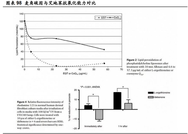 鲁商发展研究报告：房地产转型大健康成果初显