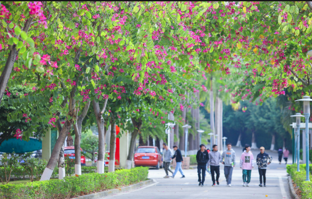 高质量3+证书高职高考院校鉴赏——广州南洋理工职业学院