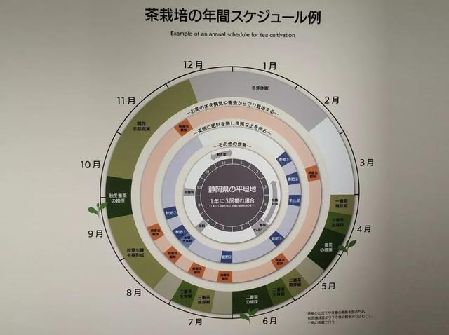 在日本能看到中国茶的未来吗？