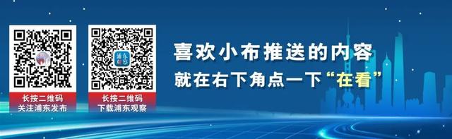 “背街小巷”整洁了，居民出行舒心了！浦东花大力气疏通城市“毛细血管”