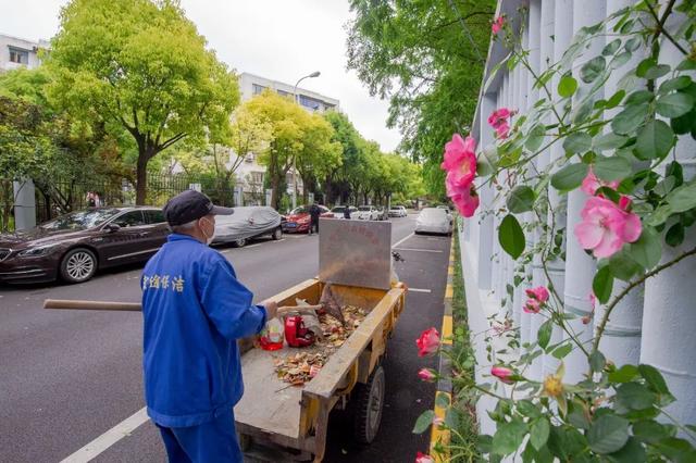 “背街小巷”整洁了，居民出行舒心了！浦东花大力气疏通城市“毛细血管”