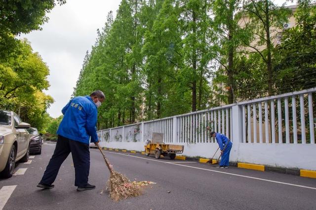 “背街小巷”整洁了，居民出行舒心了！浦东花大力气疏通城市“毛细血管”