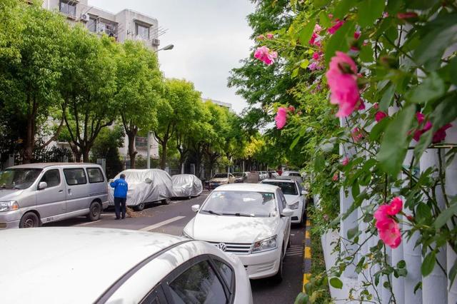 “背街小巷”整洁了，居民出行舒心了！浦东花大力气疏通城市“毛细血管”