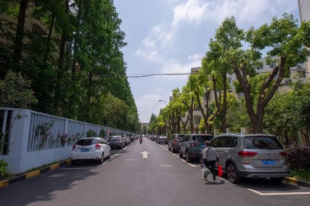 “背街小巷”整洁了，居民出行舒心了！浦东花大力气疏通城市“毛细血管”