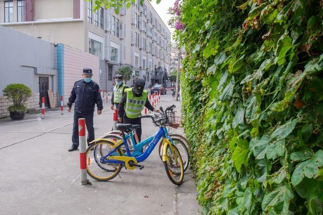 “背街小巷”整洁了，居民出行舒心了！浦东花大力气疏通城市“毛细血管”