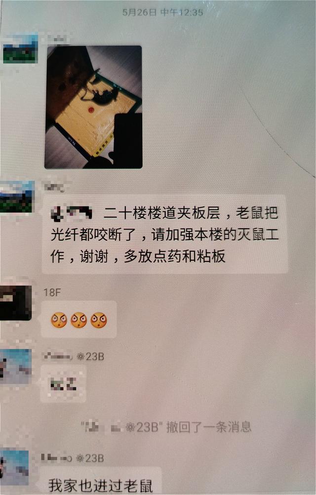 入睡后，老鼠在天花板里乱窜……上海这栋精装住宅何来鼠害成“灾”？