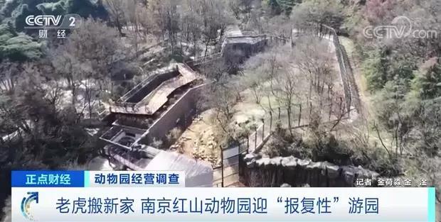 南京红山动物园迎“报复性”游园，你会去吗？