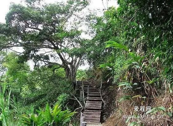 跟着广电来一次说走就走的旅行，常州恐龙园纯玩三日，恐龙世界的迪士尼，一场欢乐盛宴！