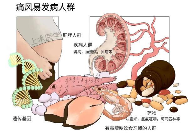 血压、血糖、血脂、尿酸标准对照表，忌口清单全都有