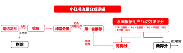 小红书产品体验报告：含淘宝逛逛、抖音、知乎等种草方面竞品分析