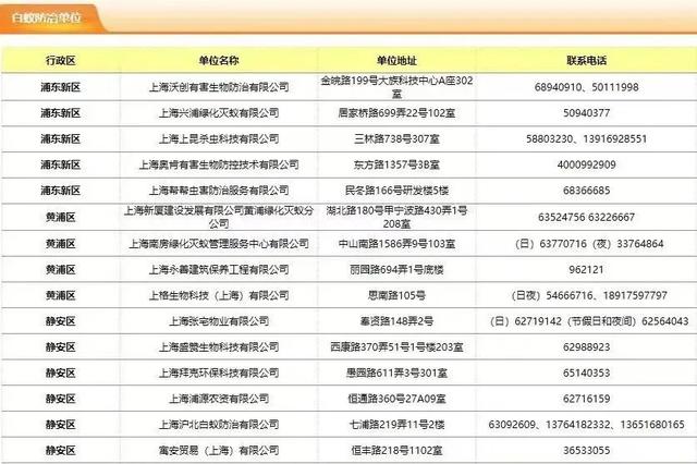 对付烦人的白蚁有技巧，盲目动手可能会扩大虫害