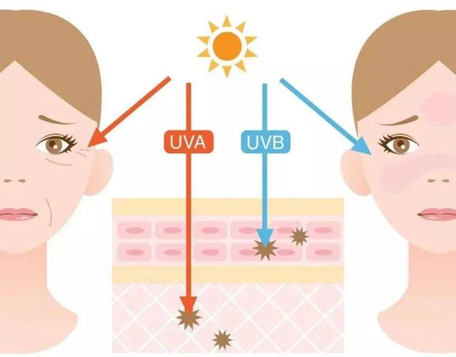 「必看」夏季如何防晒，一篇给你讲明白