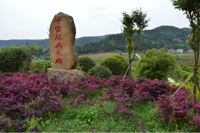 春游绵阳·观花乡野（梓潼篇） || 这个春天，两条线路带你玩转梓潼！亲子赏花、近郊踏青，总有一款和适合你~