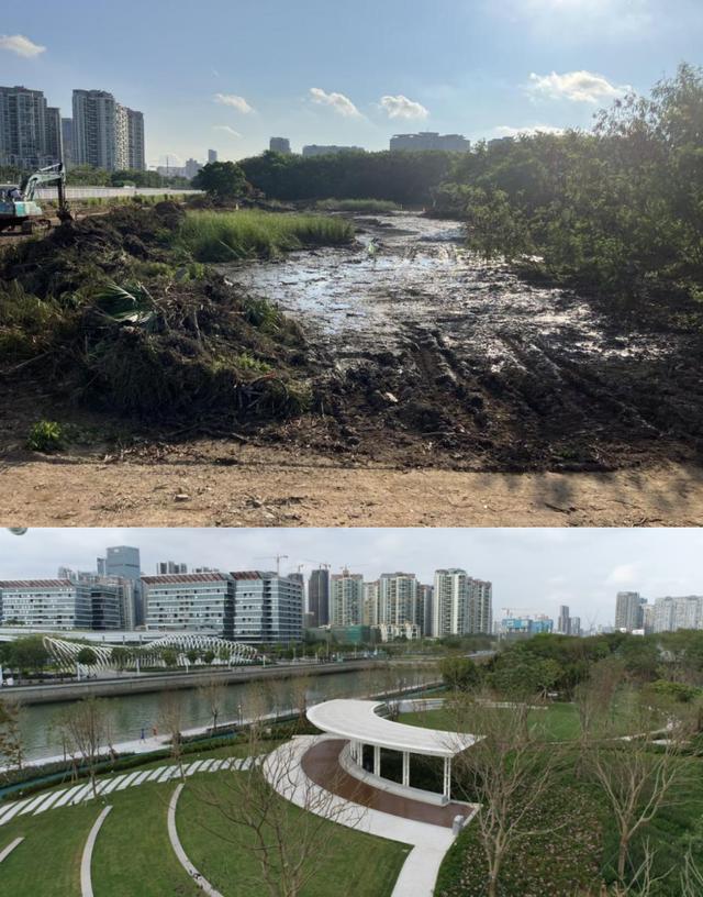 连通前海！“湾区之光”下“上新”滨海生态活力带