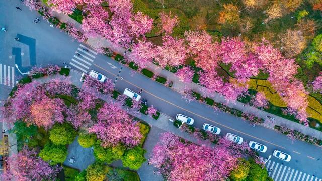 这就是，云南大学！