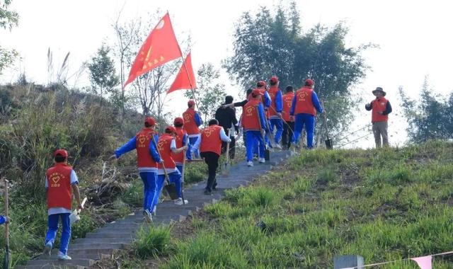 春风十里，共“植”有你！肇庆师生植树添绿忙~