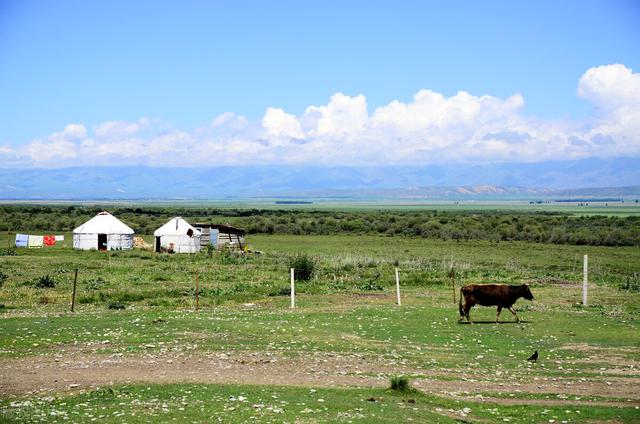 伊犁环线 | 徒步在油画世界，自驾路书、住宿地、路况说明