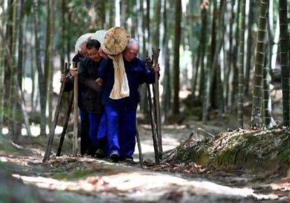 老祖宗忠告：“一人不进庙，两人不观井，三人不抱树”，啥意思？