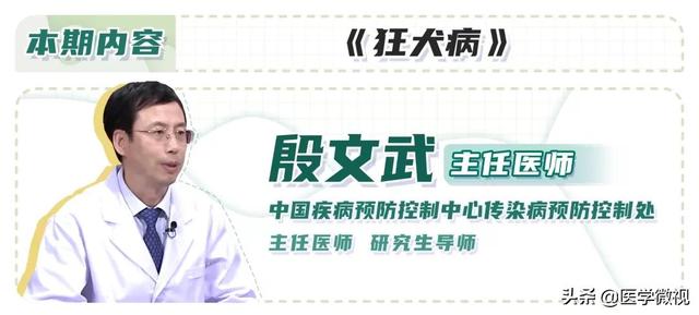 狂犬病病死率100%！被抓、咬伤后24小时内没打疫苗怎么办？