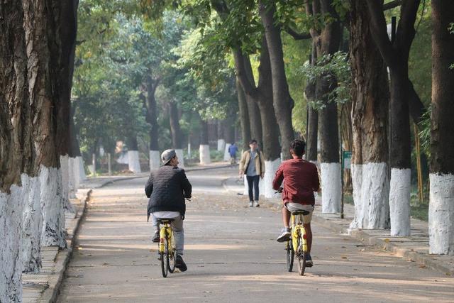 学生骑车遭处分却允许老师开车？福建一高校“双标”规定惹争议