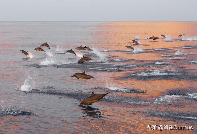 乘风破浪的马尔代夫，蜜月必去的海底别墅，小情侣们都懂得