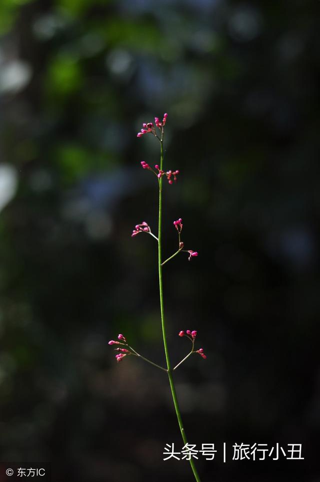 北岳主峰大茂山｜登高怀古揽秋色