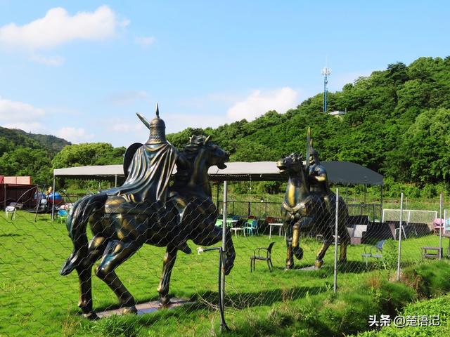 宁波三勤村这片田野，白鹭围着骏马走，不是草原却比西部草原还美