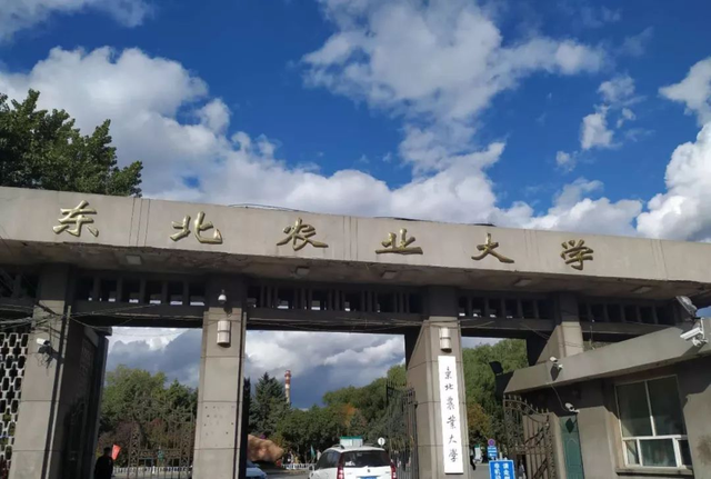 空缺近一年后，黑龙江大学、哈尔滨师范大学即将迎来新校长？