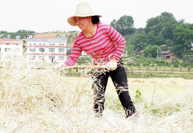 8月7日立秋，2020年，天气还能热多长时间？答案来了