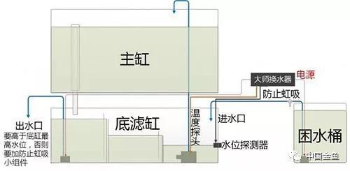 这个养鱼“懒人神器”，大伙觉得咋样？