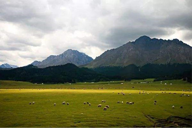 新疆沙湾县：一处集美食和最美大峡谷的天山北麓绿洲