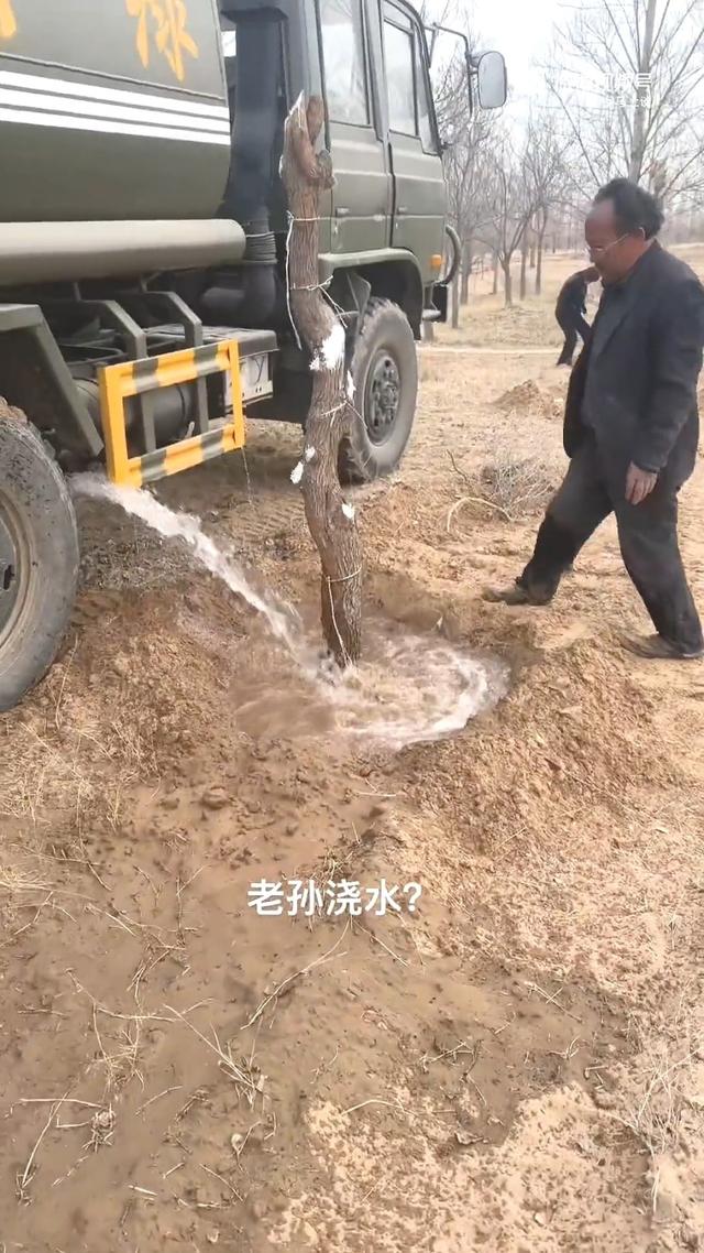 知情人爆料沙漠种树人跪地求水内幕！事情没那么简单！