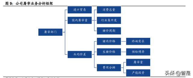 双汇发展深度研究：产业链优势突出，竞争地位稳固，盈利拐点显现