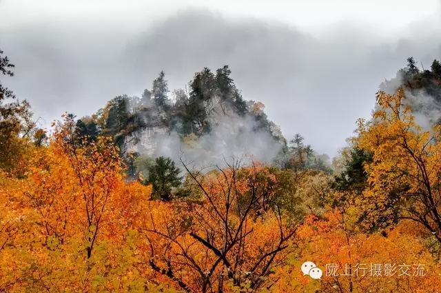 陇南风光 | 你好官鹅沟，我与你在秋天有个约定！