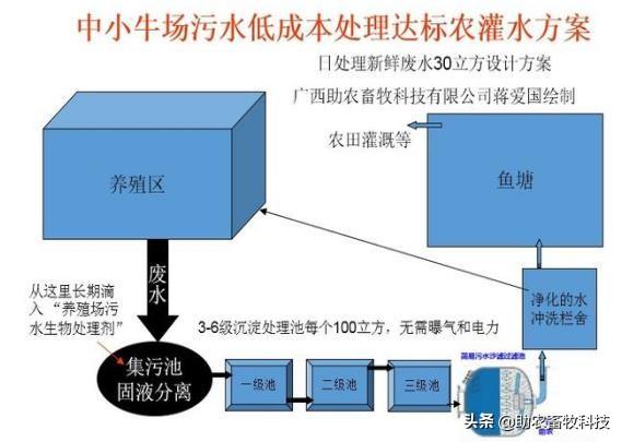 养牛场牛粪尿快速、低成本处理新技术，解决养牛场环保问题并不难