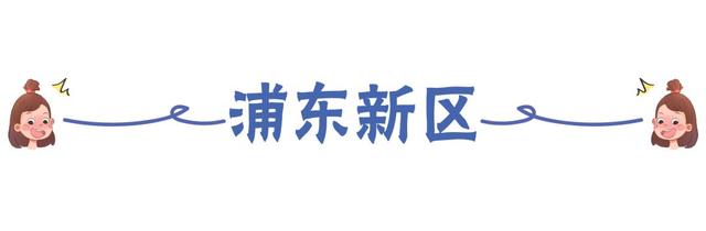 上海16区公办小学民间梯队排行榜，教育资源真的平均吗？